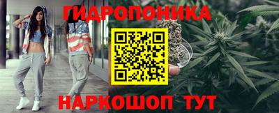 дурь Пугачёв