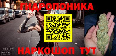 дурь Пугачёв