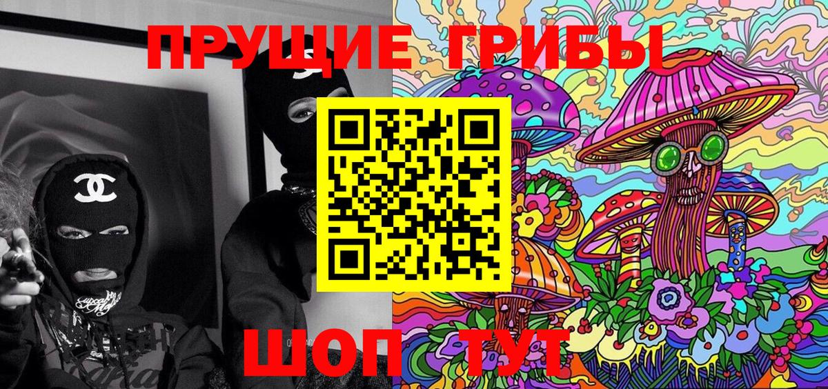 Галлюциногенные грибы прущие грибы  Вход с VPN  Россия 